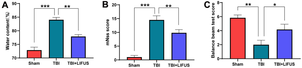 Low-intensity focused ultrasound (LIFUS) relieves cerebral edema and neurological deficits. (A) The water content of each group was measured 3 days after traumatic brain injury. (B, C) Three days after traumatic brain injury, neurological function was analyzed using the Modified Neurological Severity Scale (mNSS) and balance beam test. (n=6, *P