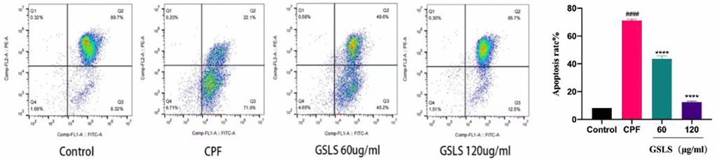 The detection results of mitochondrial membrane potential (Δψm). The Δψm staining of each group was JC-1 by flow cytometry. #p ##p *p **p 