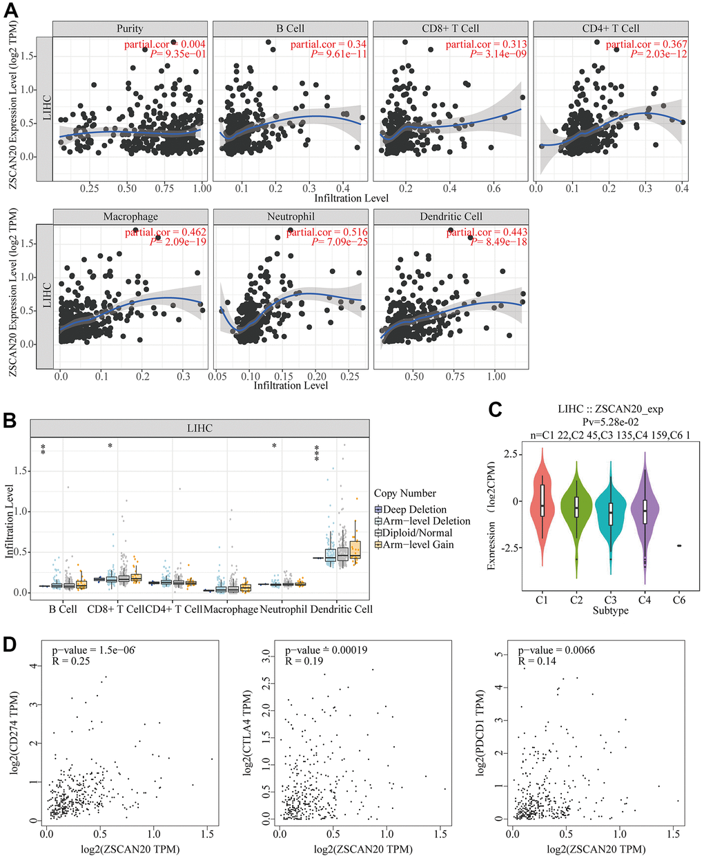Association between ZSCAN20 and immune cell infiltration in HCC. (A) ZSCAN20 showed a significant correlation with the infiltrating abundance of B cell, CD8+ T cell, CD4+ T cell, Macrophage, Neutrophil, and Dendritic cell using the TIMER database. (B) The relationship between ZSCAN20 CNV and immune infiltration.*p C) Distribution of ZSCAN20 expression across immune subtypes in LIHC (TISIDB). The different color plots represent the five immune subtypes (C1: wound healing; C2: IFN-gamma dominant; C3: inflammatory; C4: lymphocyte-depleted and C6: TGF-b dominant). (D) Scatter plots of the correlations between ZSCAN20 expression and CD274, CTLA4 and PDCD1 in LIHC using the GEPIA database.