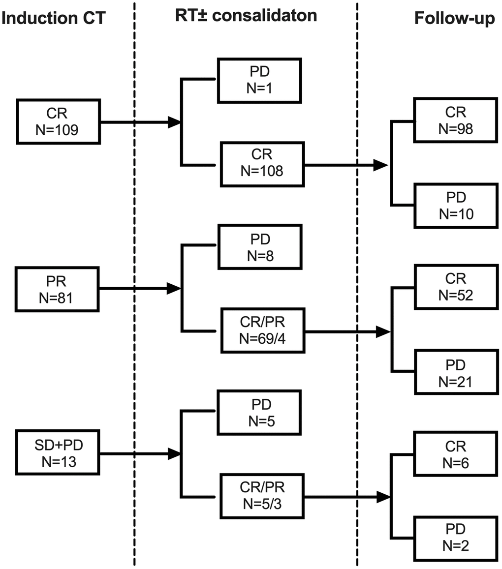 Responses from induction chemotherapy and subsequent radiotherapy for early stage NKTCL in the primary cohort. Abbreviations: CT: chemotherapy; RT: radiotherapy; CR: complete remission; PR: partial remission; SD: stable disease; PD: progression of disease.