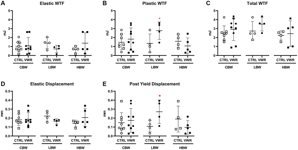 Long-term voluntary wheel running altered femoral mechanical properties in 18 mo LBW, but not HBW mice. 6 mo endurance exercise altered femur mechanical property to be more ductile in 18 mo LBW/VWR, but not HBW/VWR mice. (A) Elastic WTF, (B) Plastic WTC, (C) Total WTF, (D) Elastic displacement, (E) Post yield displacement. *: p n = 8 CTRL, n = 9 VWR); LBW: Low body weight group (n = 4 CTRL, n = 4 VWR); HBW: High body weight group (18 mo: n = 4 CTRL, n = 5 VWR); WTF: work to failure.