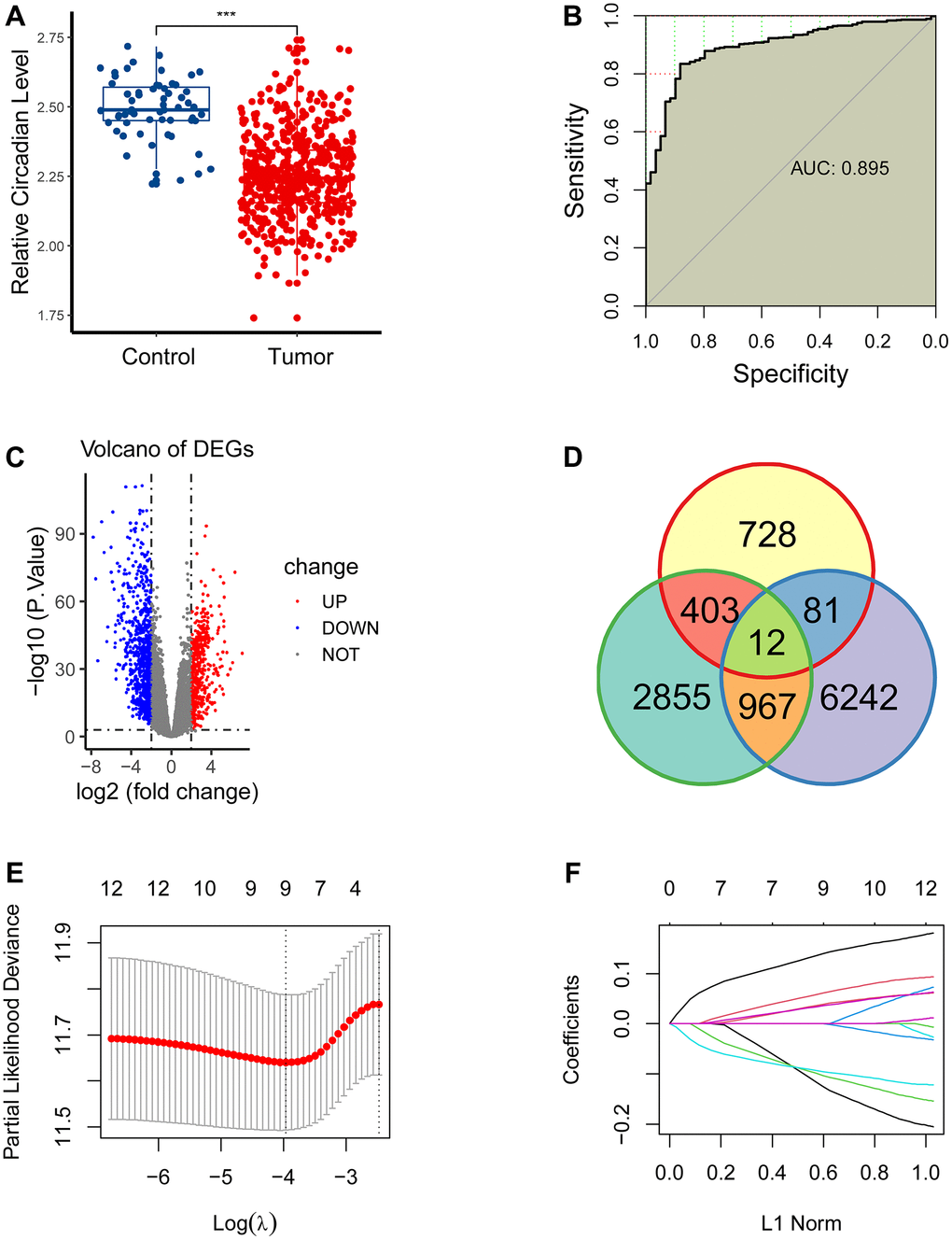 Construction of a novel gene signature. (A) CR levels were significantly upregulated in the para-cancerous samples compared to the tumor samples. (B) CR levels could distinguish tumor patients with normal patients, with area under curve (AUC) of 0.895. (C) 1224 differentially expressed genes (DEGs) were obtained between the paracancerous and tumor groups. (D) 12 eligible CR-related genes were acquired by intersecting 1224 DEGs, 4237 prognostically relevant genes and 7302 CR-related genes. (E, F) 12 eligible CR-genes were further screened using LASSO regression analysis.