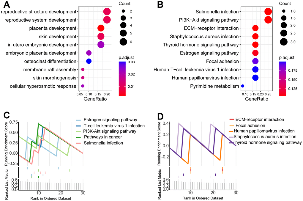 Functional analysis. (A, B) Gene oncology analysis showed that multiple cancer-associated pathways were identified. (C, D) GSEA showed multiple cancer-associated pathways were significantly enriched in the high-risk patients.