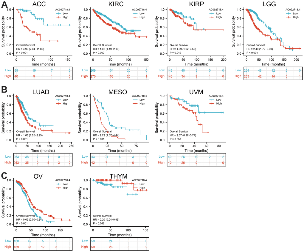 AC092718.4 expression correlated with the overall survival of pan-cancer. (A) The overall survival for AC092718.4 in ACC, KIRC, KIRP, and LGG. (B) The overall survival for AC092718.4 in LUAD, MESO, and UVM. (C) The overall survival for AC092718.4 in OV, and THYM.