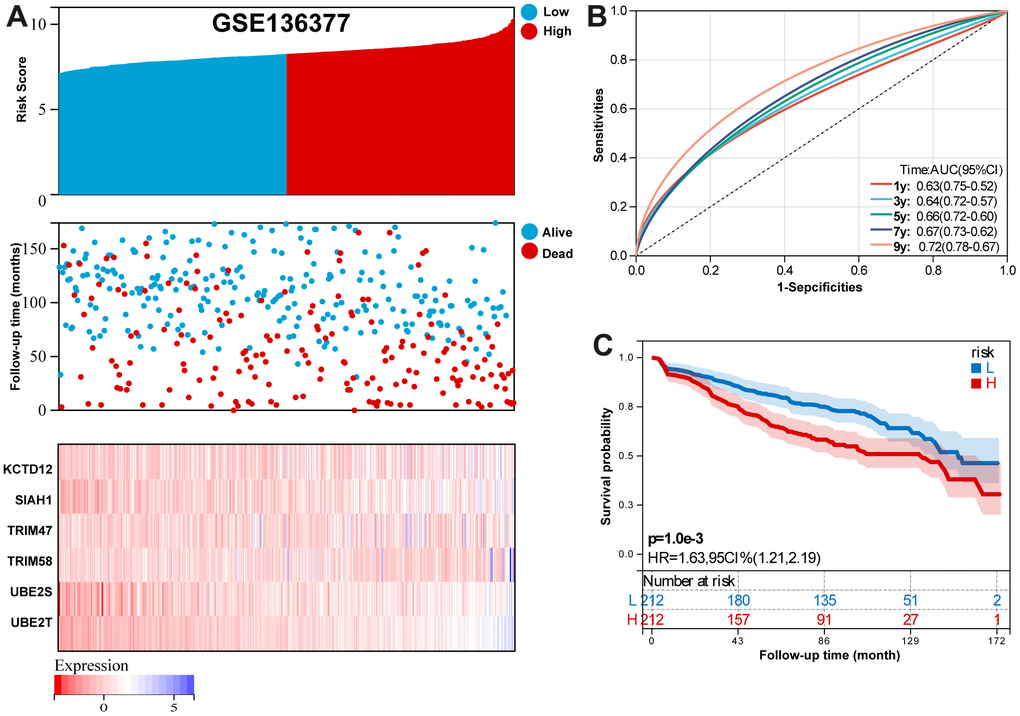 Validation the reliability of the risk signature in the validation set (GSE136377). (A) summarizes the distribution of risk scores, the survival status of patients, and the expression of UPS genes in the training set. (B) A time-dependent ROC analysis for 1-, 3-, 5-, 7-, and 9-years OS prediction. (C) Survival analysis between low-risk and high-risk MM patients.