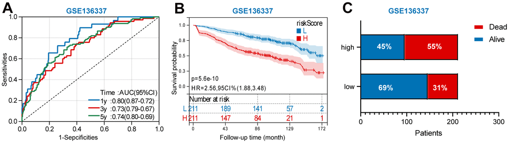 Validation the prognostic nomogram in the validation set (GSE136377). (A) A time-dependent ROC analysis for 1-, 3-, and 5-years OS prediction. (B) Survival analysis between low-risk and high-risk MM patients. (C)The relative proportion of alive and death cases between two groups.
