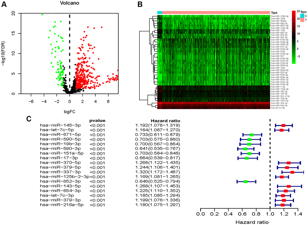 Identification of OS-related differentially expressed miRNAs between BC and non-tumor tissues. (A) Volcano plot of 437identified differentially expressed miRNAs. (B) The heatmap of the unsupervised clustering of the differentially expressed miRNAs. (C) The univariate Cox regression analysis for exploration of miRNAs that were significantly correlated with OS of BC patients.