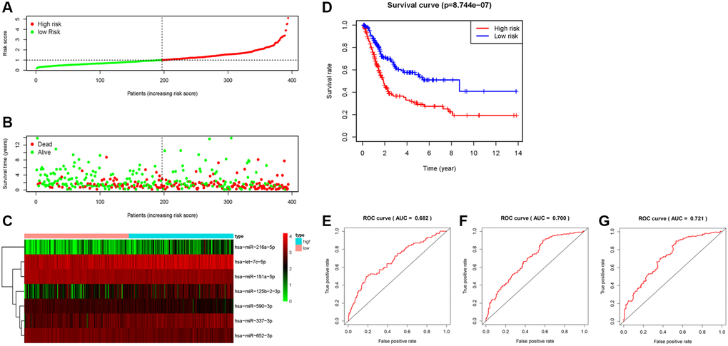 Construction and evaluation of the predictive 7- miRNA signature. (A) The distribution of the 7-miRNA risk score for each patient. (B) Scatter dot plot for survival rates of patients with BC in low- and high-risk groups. (C) Heatmap for the different expression of prognostic signature-related miRNAs in different risk groups. (D) Kaplan–Meier curve of OS in high- and low-risk groups. (E–G) ROC curves of the 7-miRNA signature for prediction of 1-, 3- and 5-year OS.