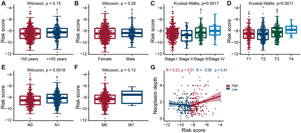 Clinical evaluation of patients with PTC in different risk groups. Clinical by the estrogen-related genes. Correlation analysis of risk score comprised of ERGs with age (A), gender (B), pathologic stage (C), T-stage (D), N-stage (E), M-stage (F), and neoplasm depth (G) in PTC patients. The risk score was significantly correlated with pathologic stage (p = 0.0017), T-stage (p = 0.0011), N-stage (p = 0.0018), and neoplasm depth (p p = 0.41).