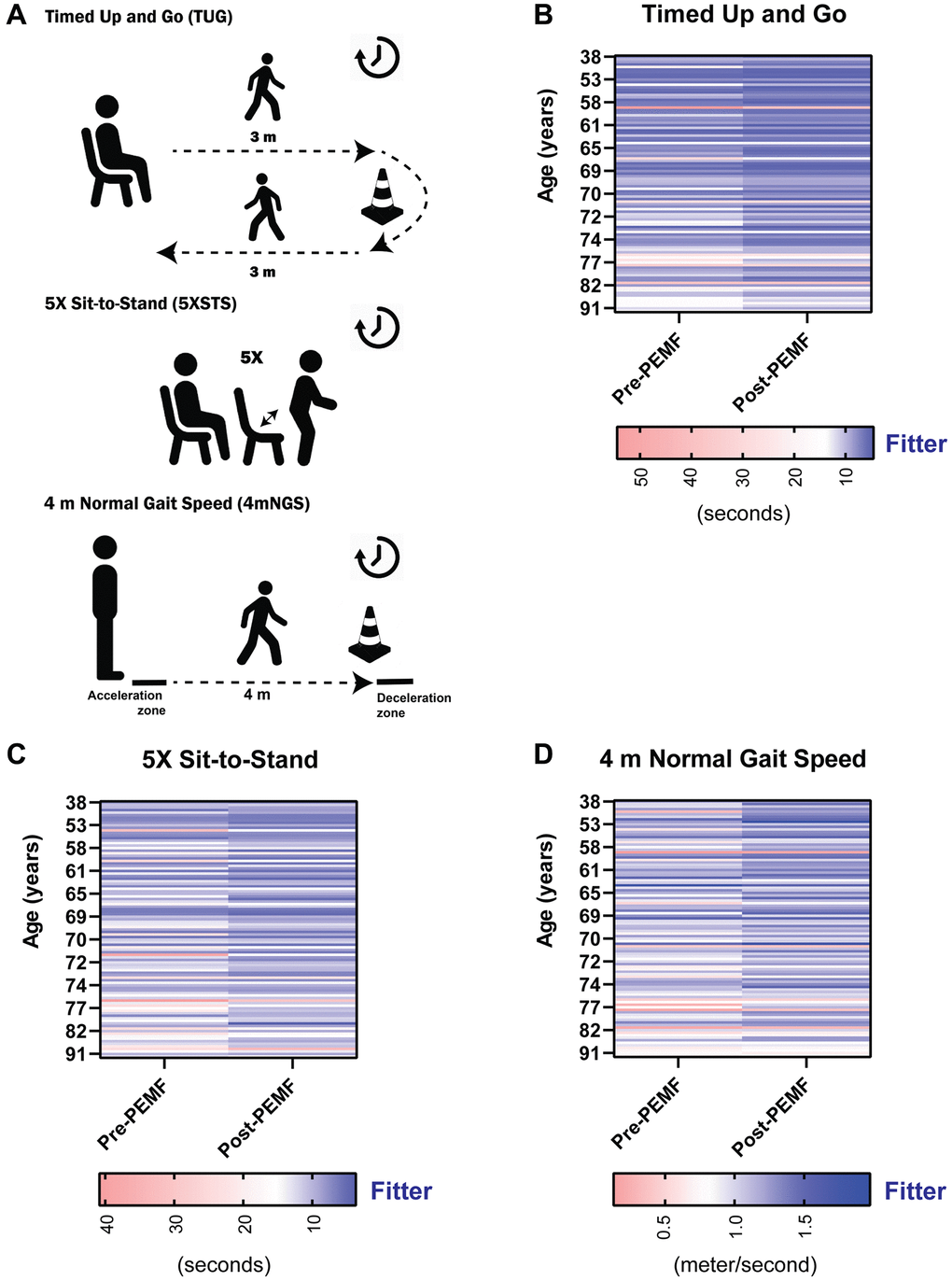 Individual functional assessments pre- and post-PEMF therapy. (A) Functional tests administered to study participants. Subject performance in the (B) timed-up and go (TUG; seconds), (C) 5X Sit to Stand (5xSTS; seconds), and (D) 4 m normal gait speed (4mNGS; meter/second), measured at baseline (pre-PEMF, week 1) and at week 12 (post-PEMF). Heat maps showing the responses of subjects by color gradient, with darker blue indicating functional improvement, white being the cutoffs based on known consensus for older adults, and red showing a less fit or frail characteristics. A TUG and 5xSTS score of ≥14 and ≥15 seconds, respectively are associated with increased falling risk in older adult [29, 30]. A gait speed of ≤ 0.8 m/s is correlated with an increased risk of adverse health outcomes in the older adults [31]. Statistical analysis was carried out using the Wilcoxon matched-pairs signed rank test and showed significant improvement in mobility function (p 