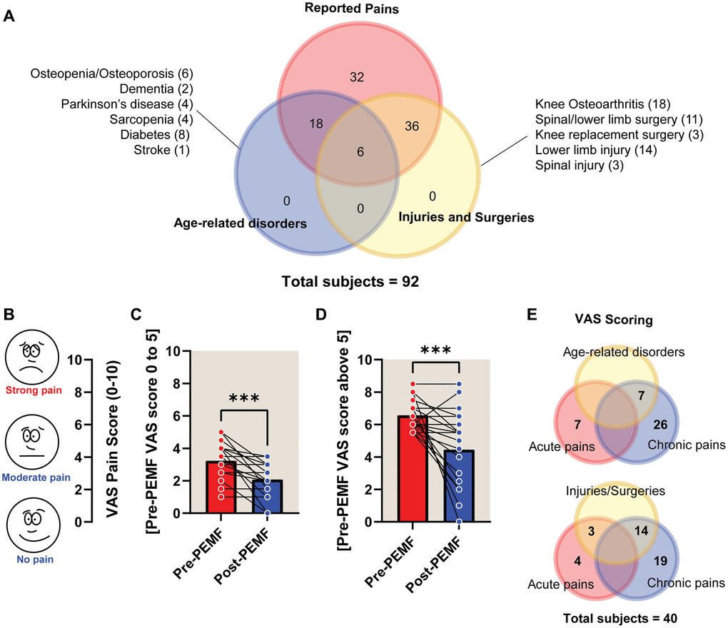 Visual analogue scale (VAS) scoring of pain pre- and post-PEMF therapy for 12 weeks. (A) Venn diagram depicting the number of subjects (60 females and 32 males) reporting health conditions as either age-related (blue) or arising from injuries and/or surgeries (yellow) and associated pain (red). The number of subjects for each disorder/injury/surgical intervention are indicated within the parentheses. Pain level before and after PEMF therapy was rated using the VAS “faces” pain rating scale (B), with a rating of 10 indicating strong pain and a rating of 0 indicating no pain. VAS scores were tabulated based on pre-treatment scores between either (C) 0 and 5 (n = 19), or (D) scores above 5 (n = 21). (E) 40 of the 92 subjects completed the VAS pain questionnaire, wherein 83% (33/40) reported chronic pain, amongst whom 21% (7/33) reported age-related disorders and/or 42% (14/33) reported past or recent injuries/surgeries. The mean change in VAS score for subjects in the “0 to 5” bracket (C) was −1.23 points, from a mean of 3.23 to 2.07, before and after PEMF therapy, respectively. The “above 5” group (D) showed a −2.12-point change, from means of 6.57 to 4.45. Statistical analysis was carried out using Wilcoxon matched-pairs signed rank test and showed significant improvement in pain relief with ***p 