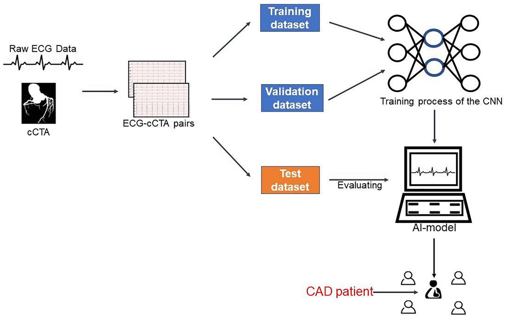 Integrated process for developing and testing the AI model. Abbreviations: cCTA: coronary computed tomography angiography; ECG: electrocardiogram; AI: artificial intelligence; CAD: coronary artery disease; CNN: convolutional neural network.
