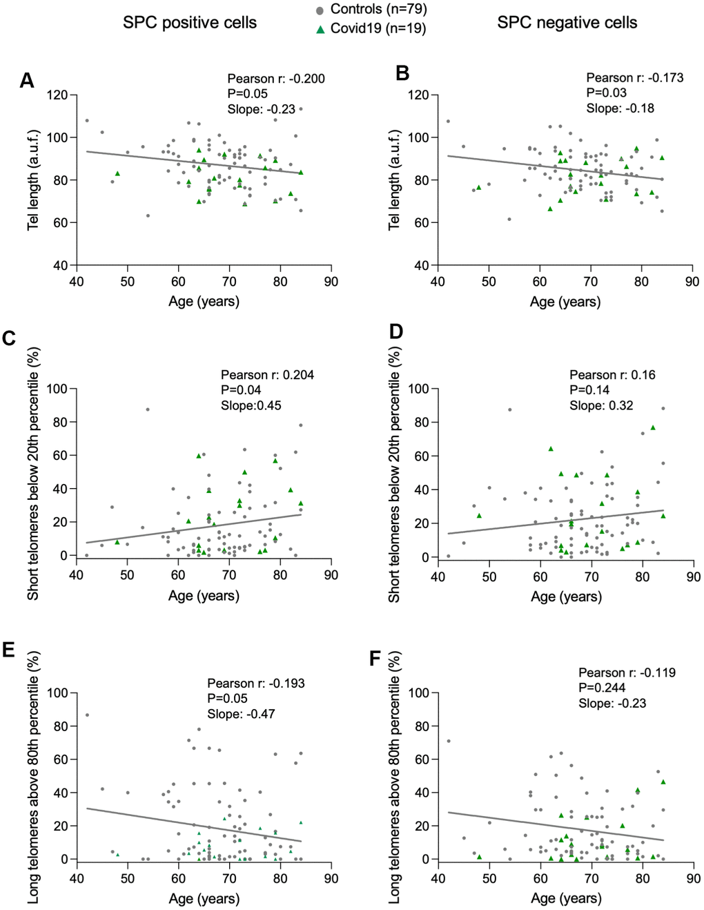 Progressive telomere shortening with age in lung cells. (A–F) Linear regression and Pearson correlation analyses between telomere intensity in pro-SPC positive (A) and pro-SPC negative cells (B), between percentage of short telomeres in pro-SPC positive (C) and pro-SPC negative cells (D), and between percentage of long telomeres in pro-SPC positive (E) and pro-SPC negative cells (F) and age in lung section from patients under study including control and COVID-19 samples. The Pearson r coefficient and the P value are indicated.