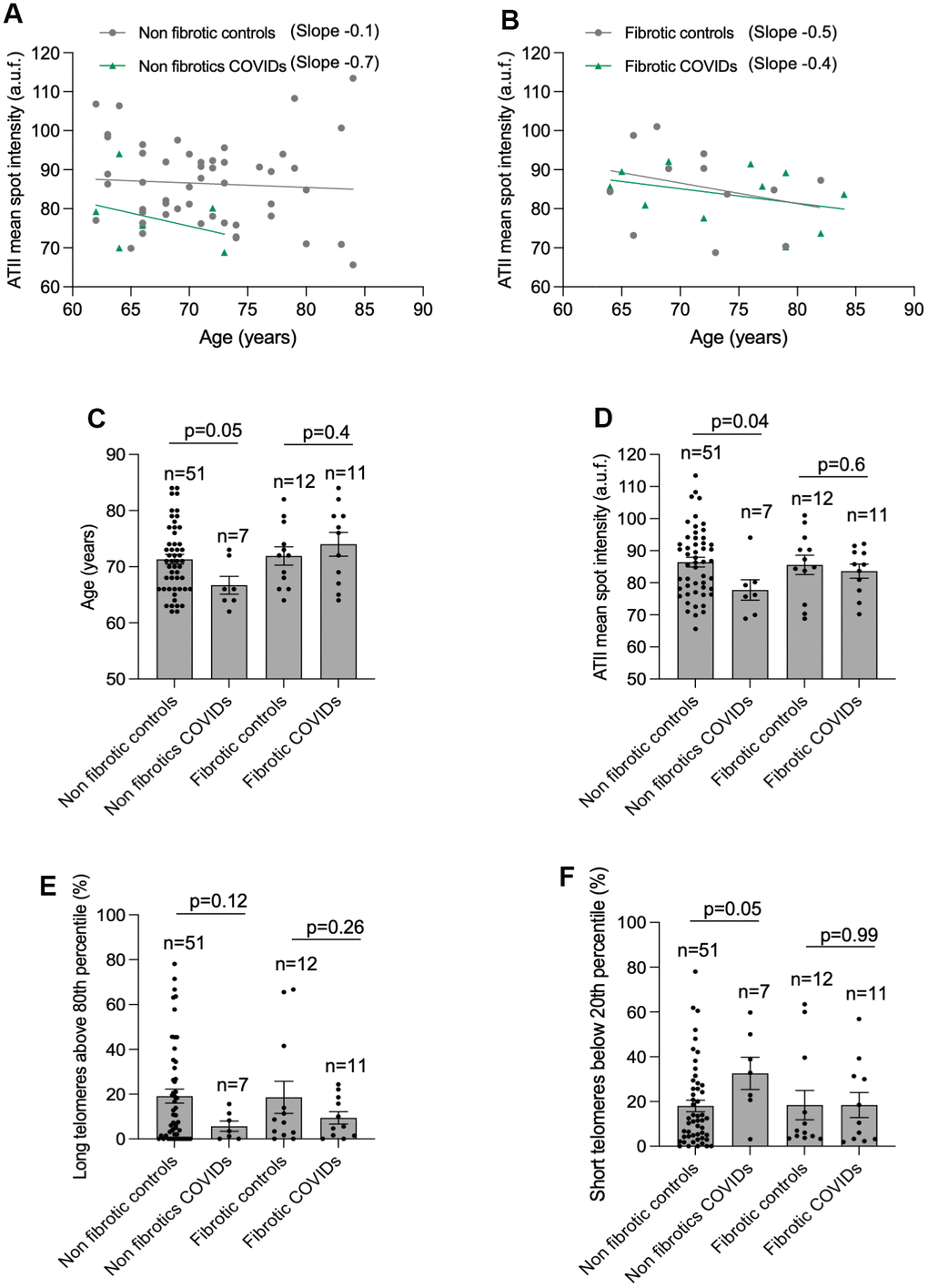 Higher rate of telomere shortening with age in COVID-19 patients. (A, B) Linear regression analyses between telomere intensity in pro-SPC positive cells and age in lung section from control and COVID-19 patients not presenting lung fibrosis (A) or being histopathologically diagnosed with lung fibrosis (B) post-surgery. The slope of the linear regression is shown. (C) Mean age of control and COVID-19 patients within 62 and 84 year-old interval presenting or not lung fibrosis post-surgery. (D–F) Mean telomeric spot intensity per nucleus (D), percentage of long telomeres above 80th percentile (E) and percentage of short telomeres below 20th percentile (F) in alveolar type II in lung sections from control and COVID-19 patients within 62 and 84 year-old age interval. Statistical significance in (C–F) was assessed using unpaired Student’s t test and the p-value is indicated.