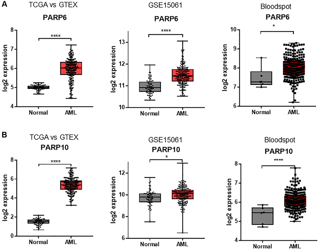 Expression differences of PARPs between AML samples and normal controls in TCGA vs. GTEX, GSE15061, and Bloodspot datasets. (A) PARP6 and (B) PARP10. An unpaired t test was used to estimate the significant differences in expression. *P ****P 