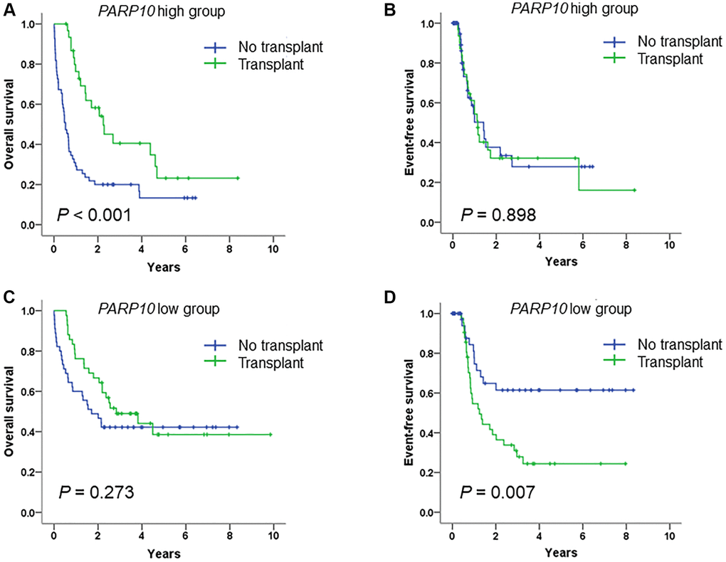 Survival analysis of AML patients who received intensive chemotherapy or intensive chemotherapy followed by allo-SCT, according to PARP10 expression. Overall survival rate (A) and event-free survival rate (B) of AML patients who received intensive chemotherapy versus intensive chemotherapy followed by allo-SCT in the PARP10 high group. Overall survival rate (C) and event-free survival rate (D) of AML patients who received intensive chemotherapy versus intensive chemotherapy followed by allo-SCT in the PARP10 low group.