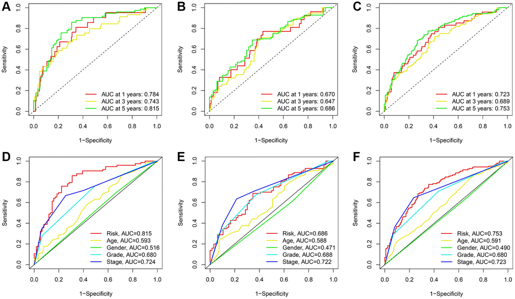 ROC curves for TRLs prognostic signature in the training; testing; and entire cohorts; respectively. (A–C) Time-dependent ROC curves for the prognostic signature. (D–F) Multi-parametric ROC curve analysis for the signature-based risk score and clinical features.
