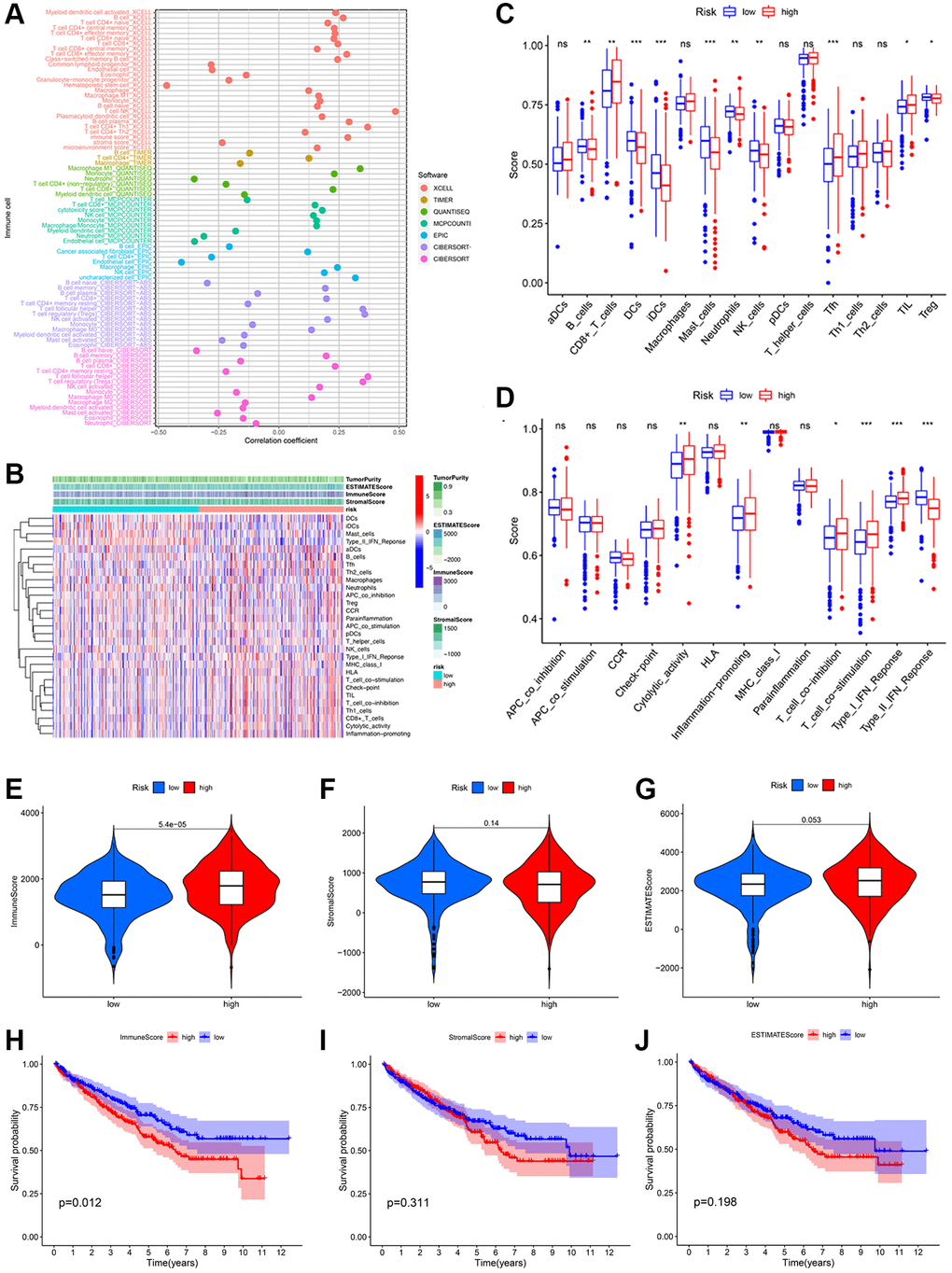 Potential effects of prognostic signatures on tumor immune microenvironment in KIRC patients. (A) The correlation between different immune cells and risk scores was analyzed using seven algorithms. (B) The heatmap of immune cells and immune-related pathways. Differences in enrichment scores of 16 immune cells (C) and 13 immune-related pathways (D) between the low- and high-risk groups. Distribution (E–G) and Kaplan-Meier survival (H–J) of immune score; stromal score; and ESTIMATE score between the low- and high-risk groups.