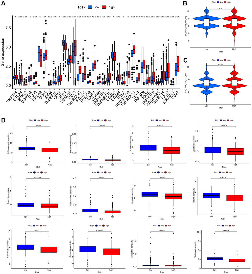 Immunotherapeutic response prediction and drug susceptibility analysis between low- and high-risk groups in KIRC patients. (A) Differential expression of common immune checkpoints. (B, C) Relative response of anti-PD1 and anti-CTLA4 therapy. (D) Difference analysis of anti-tumor drug sensitivity.