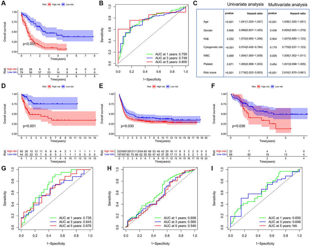 Construction and validation of the risk score model. (A) Survival analysis between the high- and low-risk score groups in the TCGA cohort. (B) ROC curve analysis of the risk score in the TCGA cohort. (C) Cox regression analysis of clinicopathologic factors and risk score in the TCGA cohort. (D–F) Survival analysis between the high- and low-risk score groups in the GEO cohorts; (D) GSE71014; (E) GSE14468; (F) GSE10358; Log-rank test. (G–I) ROC curve analysis of the risk score in the GEO cohorts; (G) GSE71014; (H) GSE14468; (I) GSE10358.
