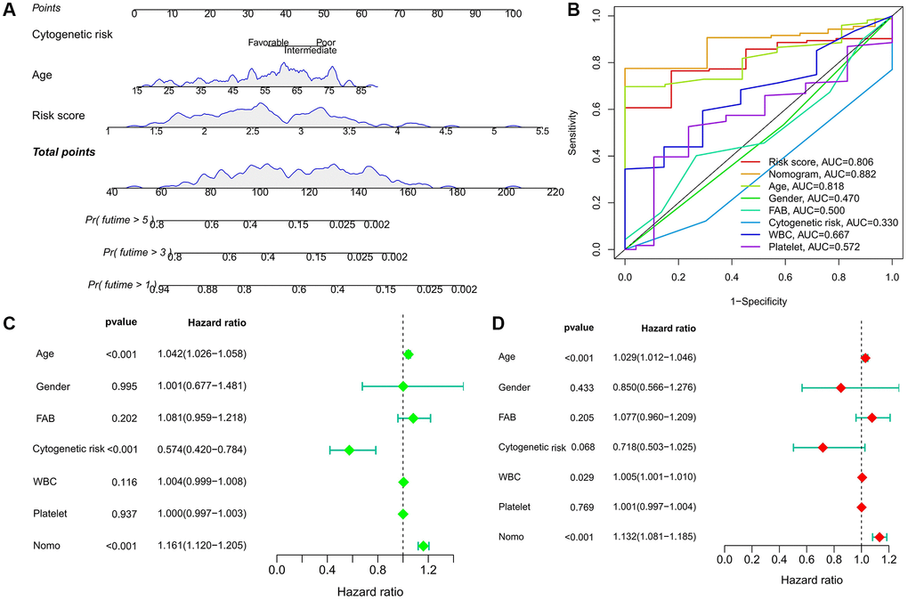 Predictive value of risk score combined with prognosis-related clinicopathological factors. (A) Nomogram predicting OS for AML patients in TCGA cohort. (B) ROC curves for risk score, nomogram, and other clinicopathological factors. (C, D) Cox regression analysis of the nomogram. (C) Univariate; (D) multivariate.