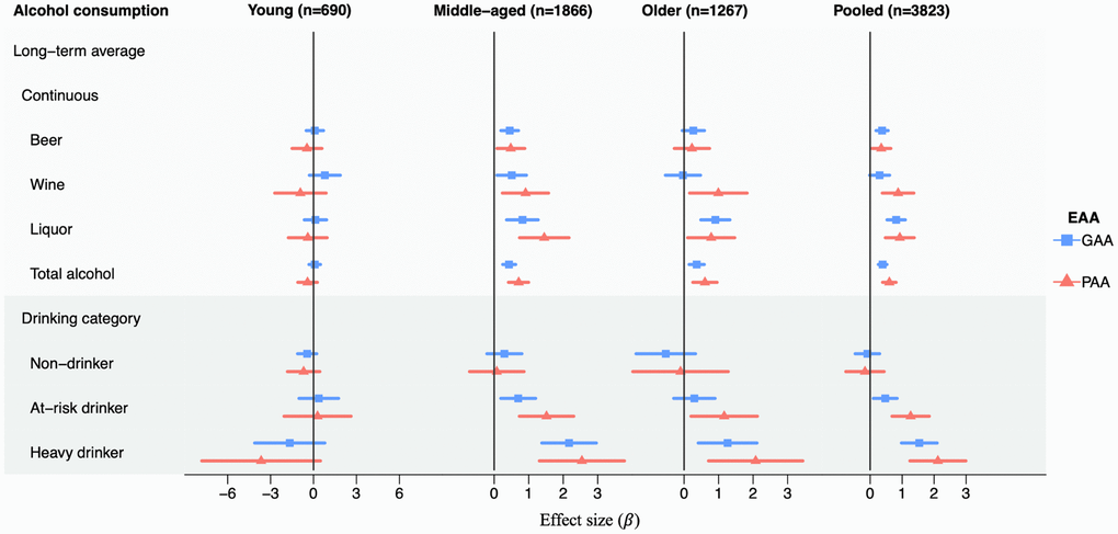 Association analyses between long-term average alcohol consumption and EAAs in each age group and in pooled samples in the Framingham Heart Study. Age groups: young (24–44 years), middle-aged (45–64 years), older (65–94 years). The x-axis represents the effect size of alcohol consumption on GAA or PAA. Results are adjusted for sex, physical activity score, education level, BMI, smoke pack-year, chronological age, and lab. The long-term average drinking was calculated as the average of consumption (total alcohol or each type of alcoholic beverages) across up to 26 years. For continuous consumption variables, the effect size was in response to a standard drink per day. The drinking category was grouped based on the long-term average alcohol consumption, with light drinkers as the reference. Non-drinkers were defined as participants with average alcohol consumption equal to zero; light drinkers were defined as less than 1 drink per day for women and less than 2 drinks per day for men; at risk drinkers were defined as 1–2 drinks per day for women and 2–3 drinks per day for men; heavy drinkers were defined as more than 2 drinks per day for women and more than 3 drinks per day for men. Abbreviations: GAA: GrimAge acceleration; PAA: PhenoAge acceleration. Effect sizes and p-values can be found in Supplementary Tables 2, 3.