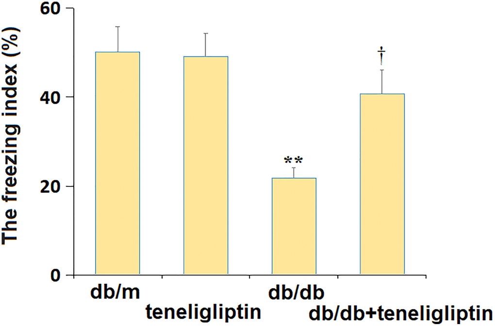 Teneligliptin mitigated the behavioral dysfunction of db/db mice in the fear conditioning test. The freezing index (%) (*, **P †P 