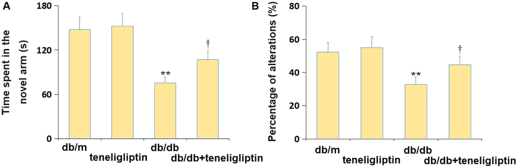 Teneligliptin ameliorated the behavioral dysfunction of db/db mice in the Y-maze test. (A) Time spent in the novel arm; (B) Percentage of alterations (%) (*, **P †P 