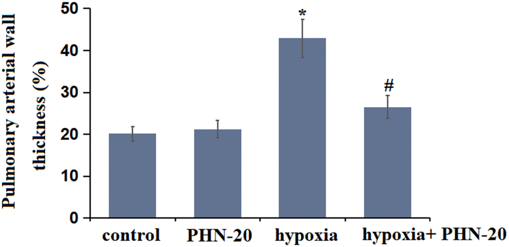 Treatment with PHN-20 alleviated hypoxia-induced pulmonary vascular remodeling in rats. The percentage of pulmonary arterial wall thickness (W%) was calculated. (*, P