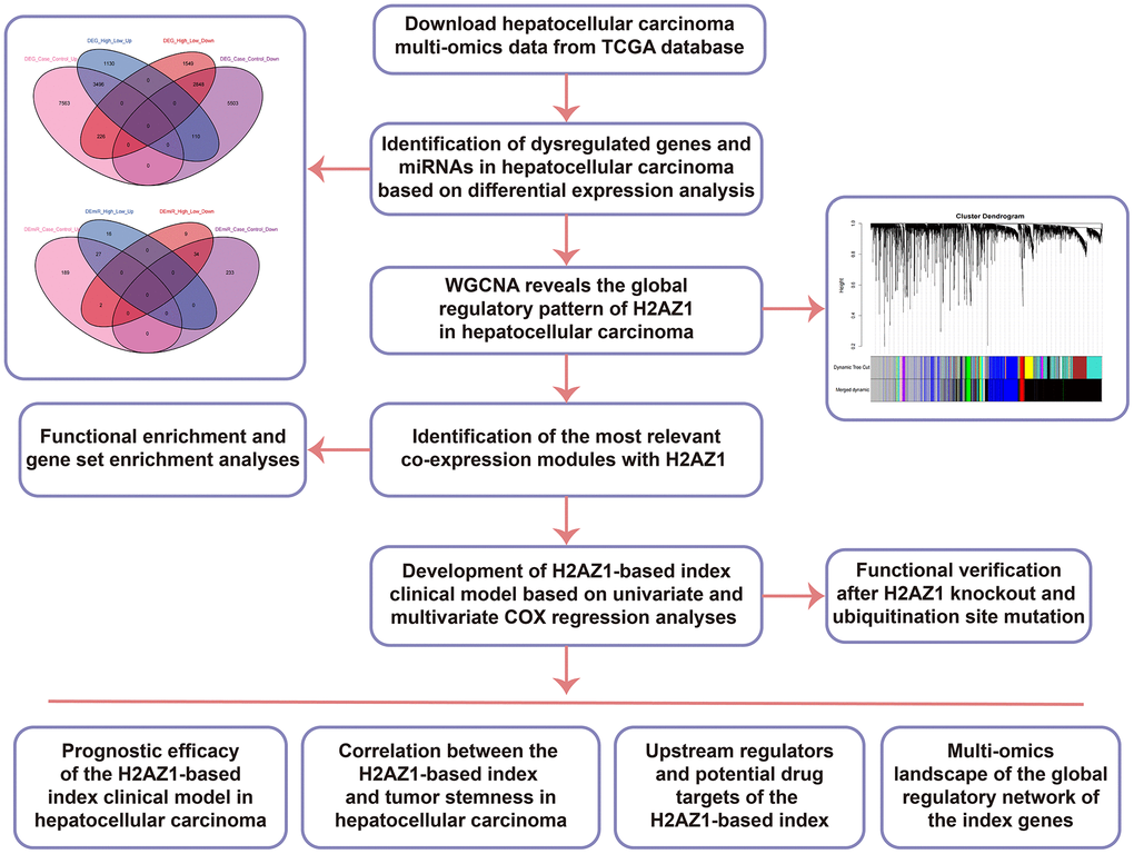Flow chart of this study. TCGA, The Cancer Genome Atlas; DEG: Differentially Expressed Gene; DEmiR: Differentially Expressed miRNA; WGCNA, Weighted Gene Co-Expression Network Analysis; WT, wild type; MUT, mutant.