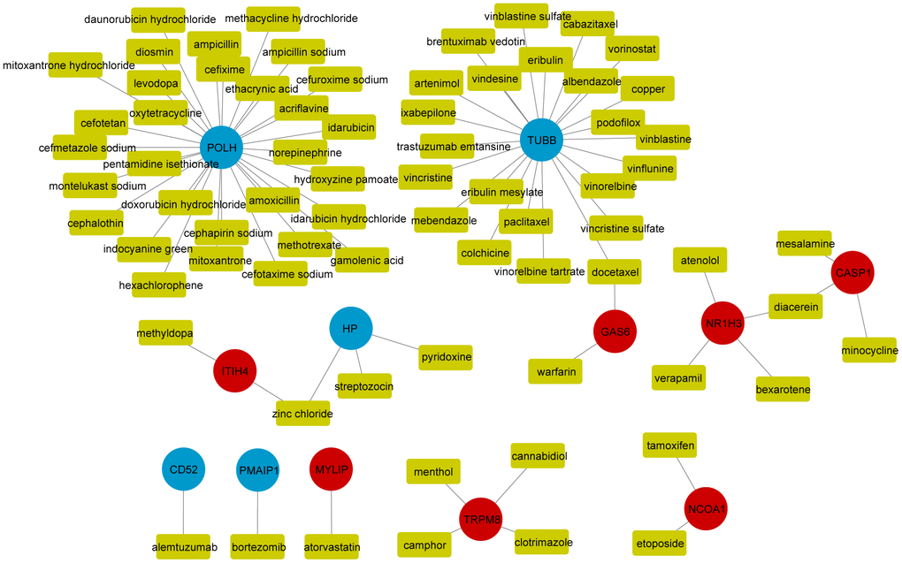 Drug-mRNAs network. The yellow rectangle in the graph represents the drugs predicted by the DGIdb database; red and blue dots indicate up-regulated and down-regulated significant differential genes, respectively.
