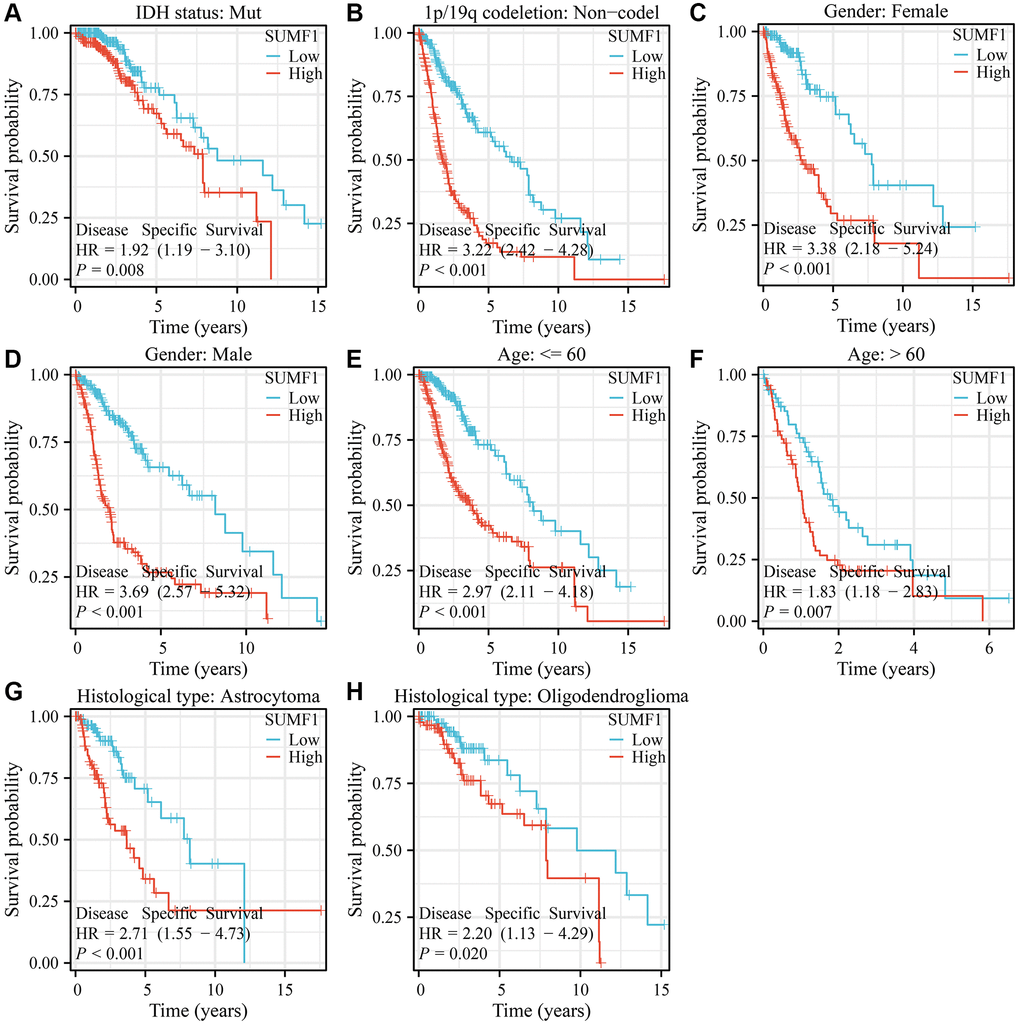 SUMF1 overexpression is significantly correlated with poor DSS in subgroups of with glioma. (A) IDH mutant patients; (B) Patients with the non-codel in 1p/19q codeletion; (C) Female; (D) Male; (E) Age ≤60; (F) Age >60; (G) Astrocytoma; (H) Oligodendroglioma.