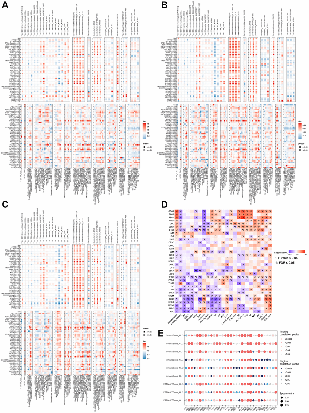 Infiltration of immune cells in tumors. Correlation of GLI1 (A), GLI2 (B), and GLI3 (C) with tumor-infiltrating immune cells according to different algorithms. (D) Correlation of GLI1, GLI2, and GLI3 with different species of immune cell subtypes. (E) Relationship between GLI1, GLI2, and GLI3 and three scores such as ESTIMATEScore, ImmuneScore, and StromalScore in different cancer types.