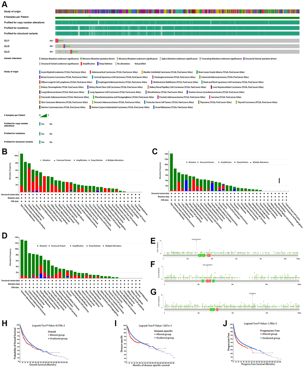 Mutation signature mapping of GLI1, GLI2, and GLI3 genes in the cBioPortal database. (A) An overview of the genomic alternations of GLI1, GLI2, and GLI3 occurred in pan-cancer. The mutation frequency and corresponding mutation types of GLI1 (B), GLI2 (C), and GLI3 (D) in different cancers. Mutation sites of GLI1 (E), GLI2 (F), and GLI3 (G). Kaplan-Meier plot showing the comparison of OS (H), DSS (I), and PFS (J) in cases with/without GLI1 gene alterations in the tumor.