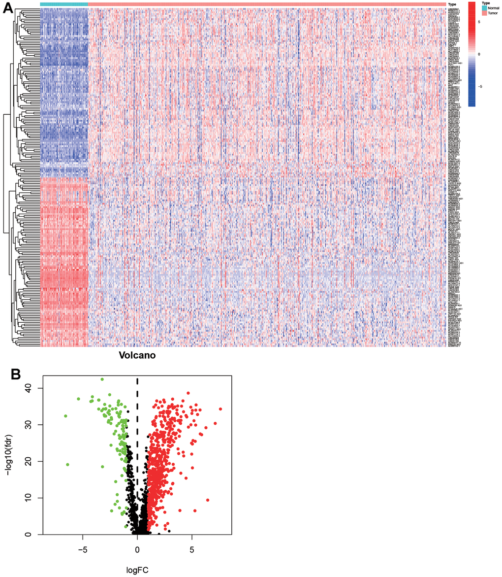Differentially expressed immune-related lncRNAs (DEirlncRNAs) were screened and verified. The hierarchical clustering heat map which contained top-100 DEirlncRNAs (A) and volcano (B) map were shown.