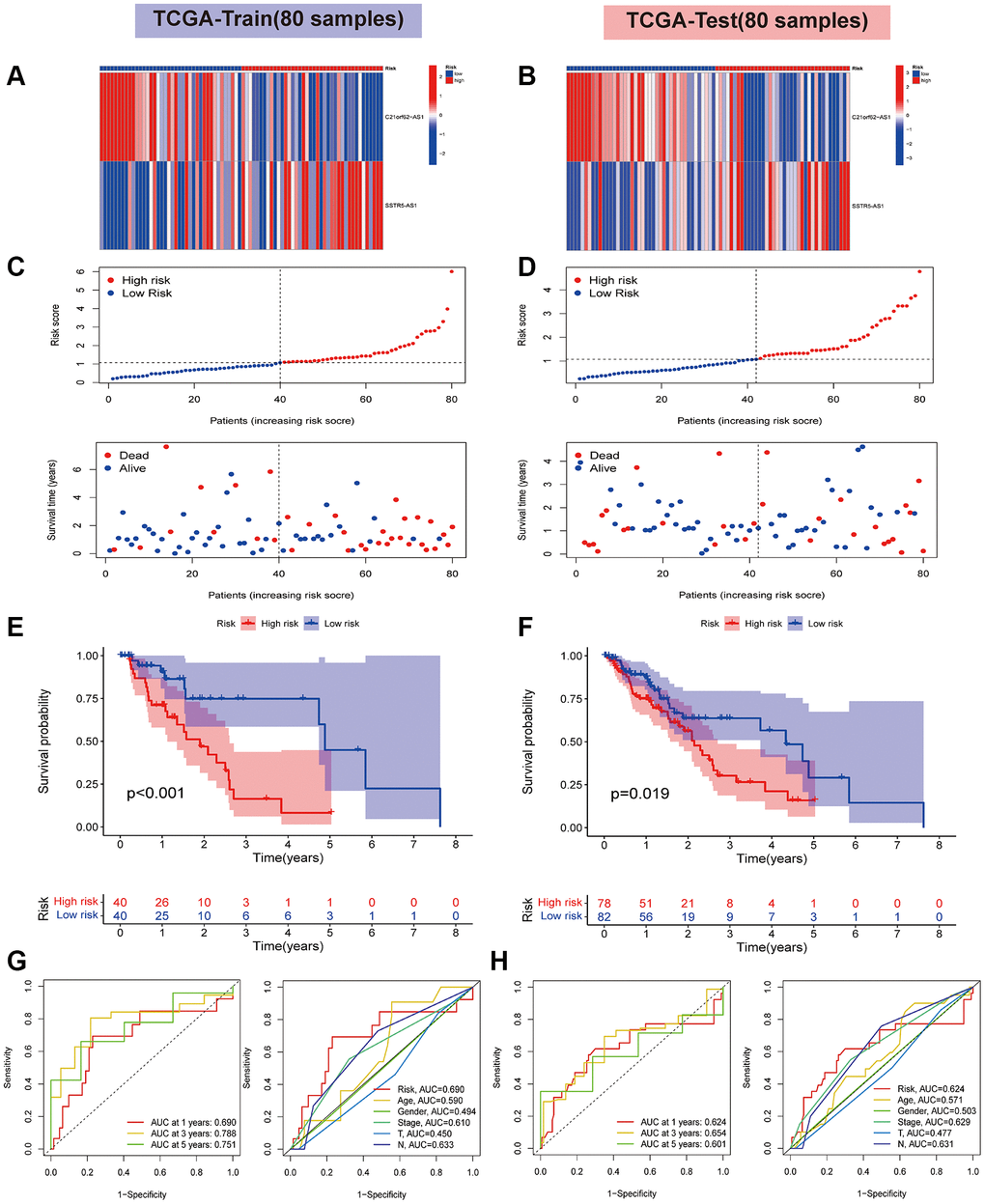 Validation of risk signature based on two HARlncRNAs in the TCGA cohort. (A) The heatmaps of prognostic 2 genes signature in the training set. (B) The heatmaps of prognostic 2 genes signature in the test set. (C) Risk score distribution plot showed the distribution of high-risk and low-risk LUAD patients in the training set. Scatter plot showed the correlation between the survival status and risk score of LUAD patients in the training set. (D) Risk score distribution plot showed the distribution of high-risk and low-risk LUAD patients in the test set. Scatter plot showed the correlation between the survival status and risk score of LUAD patients in the test set. The survival analysis in the training set (E) and test set (F). ROC curve analysis of the accuracy of the model to predict patient prognosis at 1, 3, and 5 years in the training (G) and test sets (H).