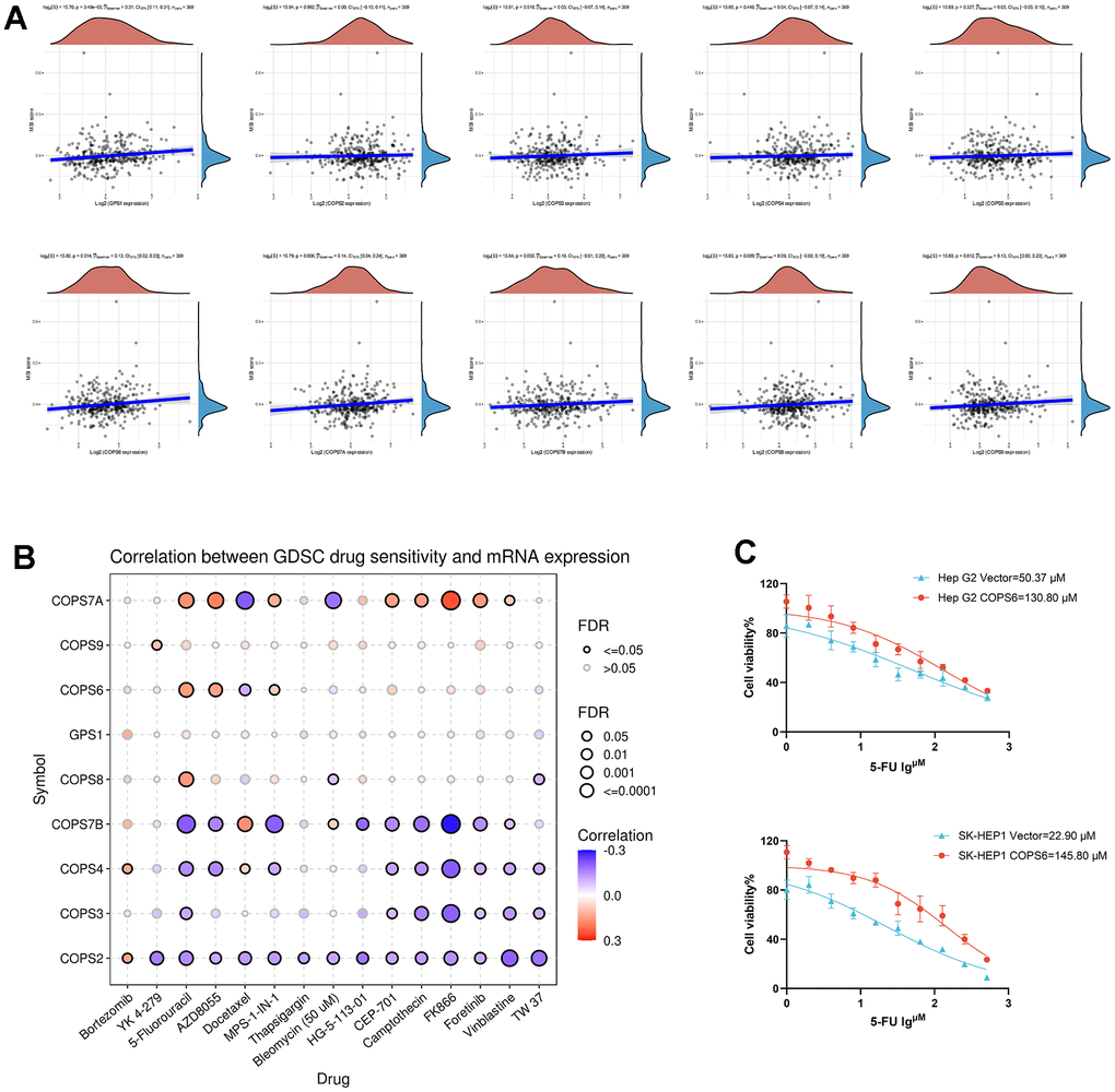 Microsatellite stability (MSI) and drug-sensitivity analysis of COPS subunits in HCC. (A) Correlations between COPS subunit expression levels and MSI in HCC. (B) Correlations between COPS subunit expression levels and GDSC drug sensitivity in pan-cancer. (C) The effect of COPS6 overexpression on IC50 value of 5-Fluorouracil in Hep G2 and SK-HEP1cells.