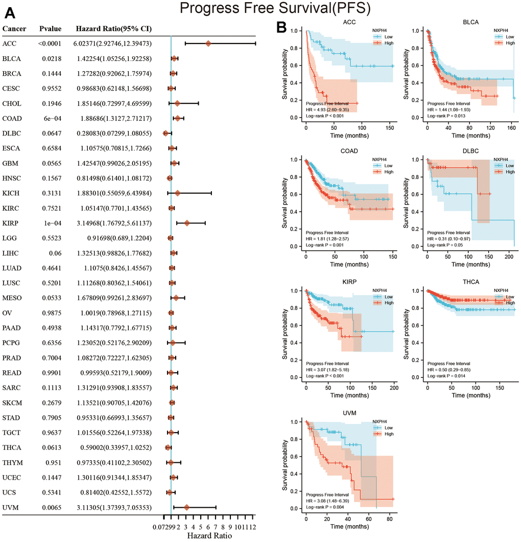 Relationship between NXPH4 expression and PFS in pan-cancer. (A) Univariate Cox analysis showed the relationship between NXPH4 and PFS in pan-cancer. (B) K-M survival analysis showed the relationship between NXPH4 and PFS in pan-cancer.