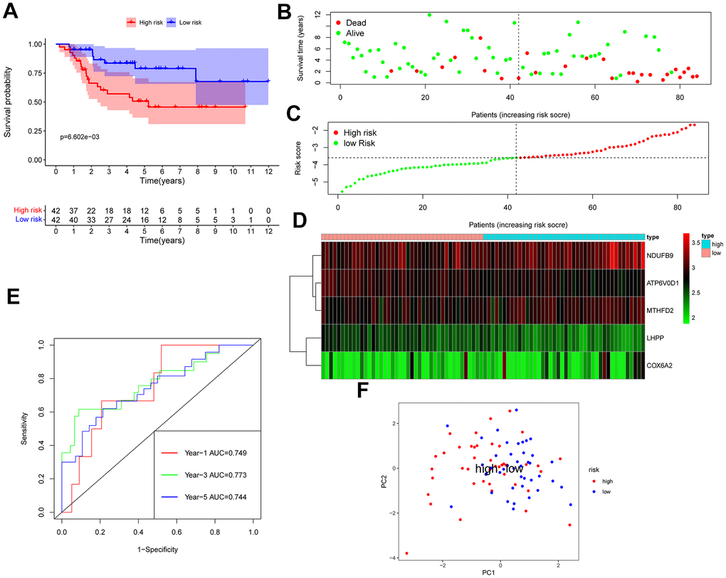 TCGA osteosarcoma data were used as training groups to validate the effectiveness of the risk score model in predicting survival. (A) Kaplan-Meier survival analysis; (B) Scatter chart: green represents survival during follow-up, red represents death during follow-up, abscissa represents risk score, and ordinate represents survival time. (C) Risk curve. (D) Heat map of gene expression in 84 patients with osteosarcoma. (E) Time ROC graph. (F) PCA dimensionality reduction analysis chart.