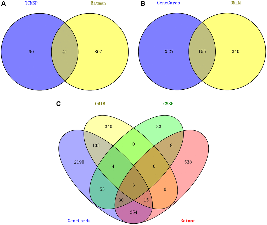 Target screening of CFF-1 on PCa. (A) Venn diagrams showing CFF-1 targets obtained from TCMSP and BATMAN-TCM. (B) Targets related to PCa acquired from Genecards and OMIM. (C) The intersection of targets for both CFF-1 and PCa.