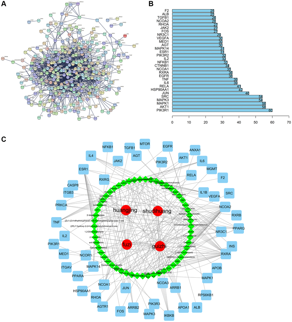 Compound-target network and analysis. (A) Key targets PPI network of CFF-1 on PCa. (B) Bar graph showing the top 30 targets with high degree. (C) The herbs-active ingredients-target network of CFF-1 on PCa.