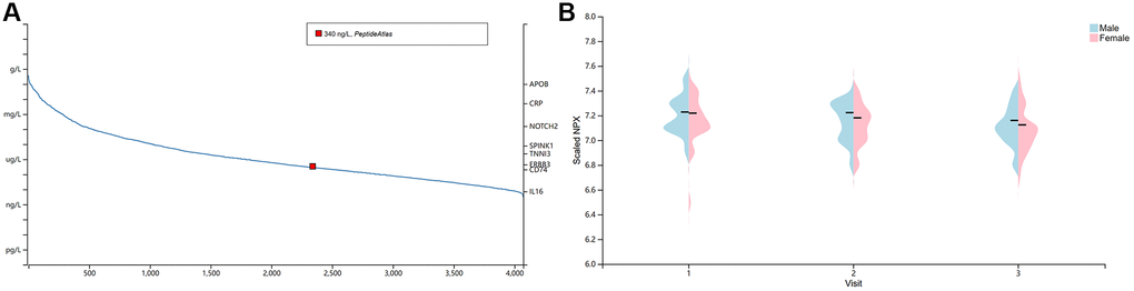 The concentration of BSG in plasma. (A) BSG protein concentration in plasma. Note: The red dots indicated BSG protein was detected in plasma with about 340 ng/L. (B) Differences between male and female in BSG protein concentration.