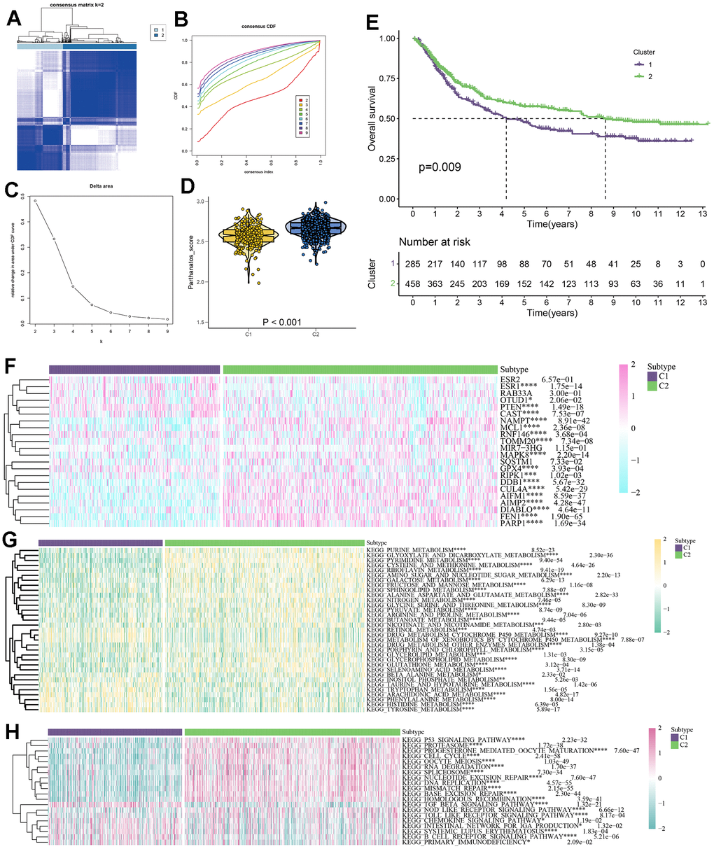 Parthanatos-based clustering analysis. (A) Define a consensus matrix heat map of k = 2 clusters and their associated regions. (B) Cumulative distribution function (CDF) curve under different cluster number. (C) The relative change in area under the CDF curve for different values of k. (D) The violin plot shows enrichment scores for two clusters (C1 and C2), pE) Survival curves of C1 and C2 clusters, purple for C1, green for C2. (F) Expression difference of parthanatos-related genes between CI and C2 subtypes. (G) Differences in the activity of metabolic pathways between CI and C2 subtypes. (H) Differences in immune pathway activity between CI and C2 subtypes.