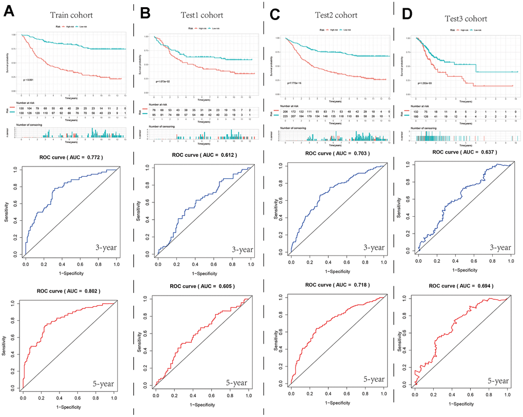 Survival curves and ROC curves for the high- and low-risk groups in the four cohorts. (A–D) Comparison of survival curve and ROC curve between train cohort, test1 cohort, test2 cohort and test3 cohort.