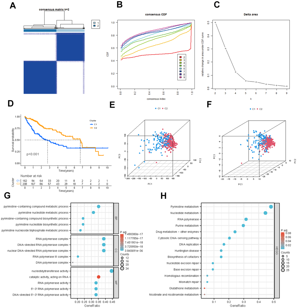 Identification of potential pyrimidine metabolism-related clusters in HCC patients. (A) The consensus clustering analysis of PMRGs. (B) Consensus CDF. (C) Delta area. (D) Kaplan-Meier survival analysis for different clusters. (E, F) The PCA plots of the PMRG clusters. (G, H) GO and KEGG enrichment analysis of differentially expressed PMRGs.