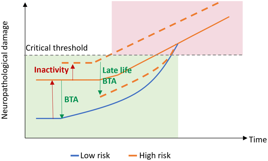 Motor reserve model. Motor reserve accounts for normal motor function (green) until neuropathological damage associated with aging and/or neurodegenerative disease reaches a critical threshold, after which impaired motor function may be observed (red). BTA, beneficial training activity.