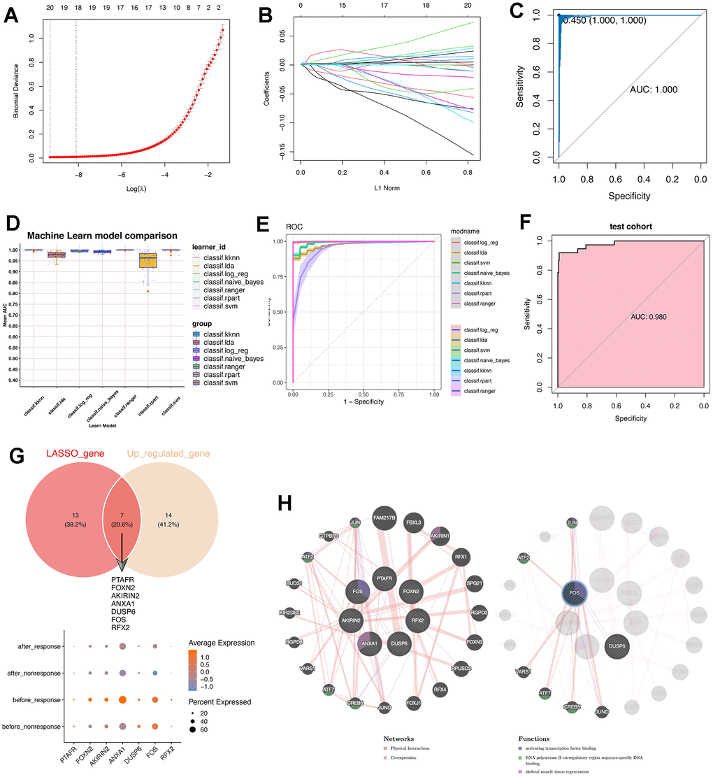 Machine learning algorithms were leveraged to construct a predictive model for therapy-response CD14+ monocytes and explored potential indicators. (A) LASSO algorithm was adopted for filtering optimal feature genes. Only the 21 highly-conserved makers/DEGs for therapy-response CD14+ monocytes were adopted. (B) Coefficients of identified feature genes from LASSO algorithm was shown. (C) ROC analysis for the LASSO model. LASSO: Least absolute shrinkage and selection operator. (D) Machine learning algorithm for constructing a predictive model for therapy-response CD14+ monocytes. (E) ROC analysis for the machine learning model. (F) ROC analysis for the machine learning model in test cohort. The AUC value was 0.98. AUC: area under curve. (G) Intersection of genes identified by the LASSO algorithm with the highly conserved markers of the therapy-response CD14+ monocytes. Seven overlapped genes were delineated. (H) Protein-protein interaction network for identified genes. The network prediction was based upon an online web-server: GeneMANIA (http://www.genemania.org).