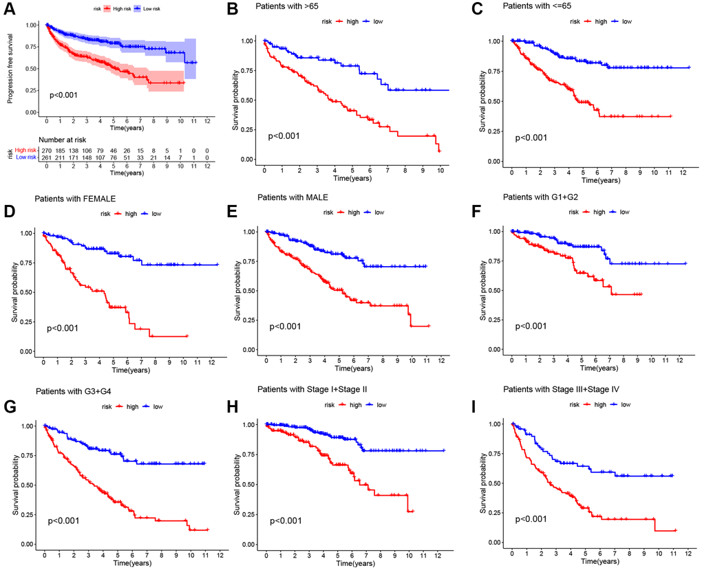 Kaplan-Meier survival curves for two risk cohorts with different clinical characteristics. (A) Progression free survival. (B, C) Age. (D, E) Sex. (F, G) Grade. (H, I) Stage.