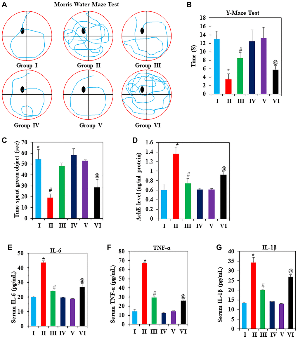 The effects of GNL on cognitive decline induced by D-gal. (A) Effect of GNL on Mouse Roadmap in the Morris Water Maze Test; (B) Effect of GNL on the Y-maze task, analyzed for spatial working memory in D-gal-induced mice. (C) Effect of GNL on object place recognition. (D) Effect of GNL on AchE level in D-gal-induced mice (ng/ml protein). Effect of GNL on inflammatory cytokines in serum, such as (E) IL-6 (pg/ml), (F) TNF-α (pg/ml), and (G) IL-1β (pg/ml). Group I: Control; Group II: D-gal alone (150 mg/wt); Group III: D-gal (150 mg/wt) with GNL (40 mg/wt); and Group IV: GNL alone (40 mg/wt). Group V: 4-month-old young animals; Group VI: 16-month-old. Values are expressed as the mean ± SD (n = 6). *P #P @P 