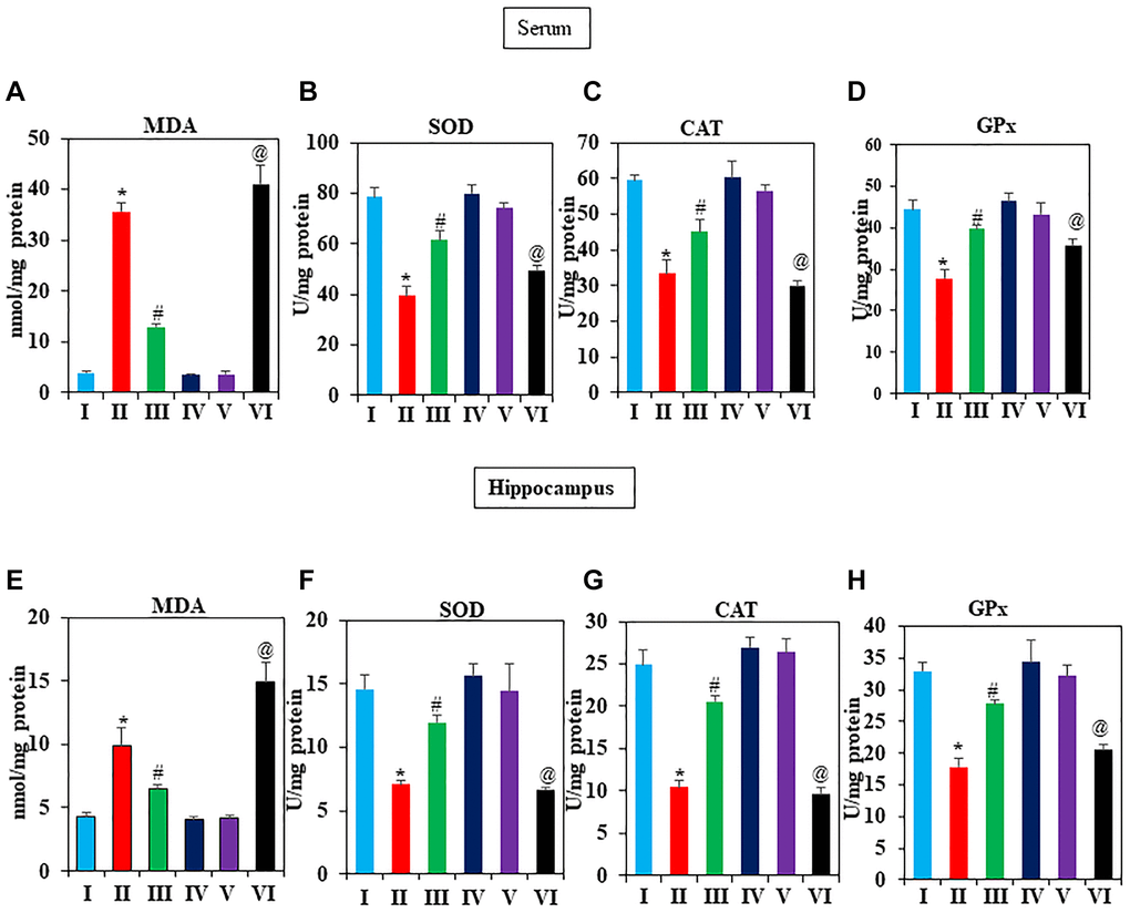 Effect of GNL on antioxidant activity in D-gal-induced mice serum and hippocampus. (A) serum, MDA level control, and treated animals (nmol/mg protein), (B) SOD (U/mg protein), (C) CAT (U/mg protein), and (D) GPx (U/mg protein). (E) Hippocampus MDA level control and treated animals (nmol/mg protein), (F) SOD (U/mg protein), (G) CAT (U/mg protein), and (H) GPx (U/mg protein). Values are expressed as the mean ± SD (n = 6). *P #P @P 